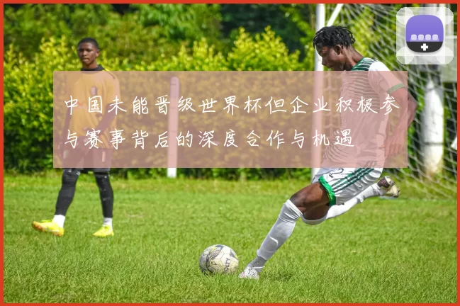 中国未能晋级世界杯但企业积极参与赛事背后的深度合作与机遇