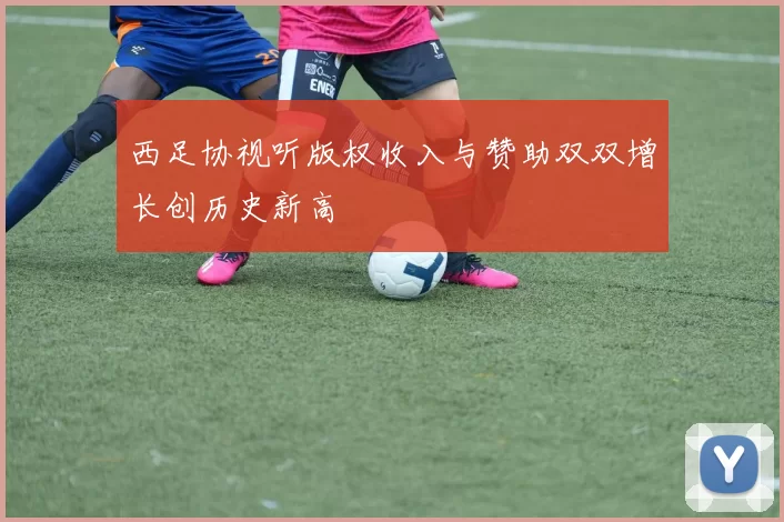 西足协视听版权收入与赞助双双增长创历史新高